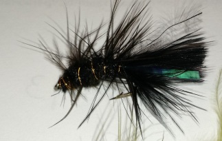 Finished Black Woolly Bugger